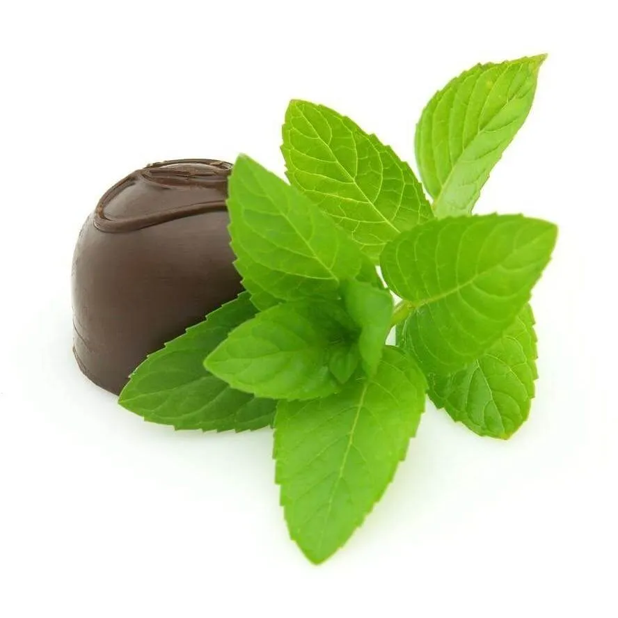 Chocolate Mint E-Liquid